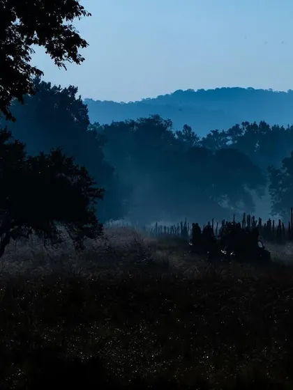 The same scene during the blue hour, just before sunrise. The cool tones and deep shadows create a completely different, more mysterious mood.