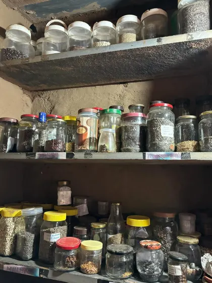 My personal seed bank. I save seeds from various plants in these jars, preserving diversity and ensuring I always have something to share and grow.