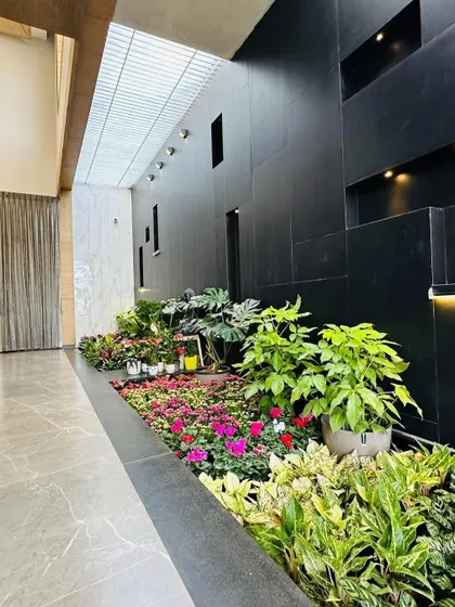 An indoor plant bed is a fantastic way to create a garden feel without soil. This installation in a modern hallway uses a mix of colorful flowering plants and textured foliage plants like Monstera against a dark feature wall.