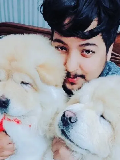Cuddle time with Tesla and Stila, two of our fluffiest clients. These Chow Chows are irresistibly soft and huggable after their grooming session, highlighting their beautiful, well-maintained coats.