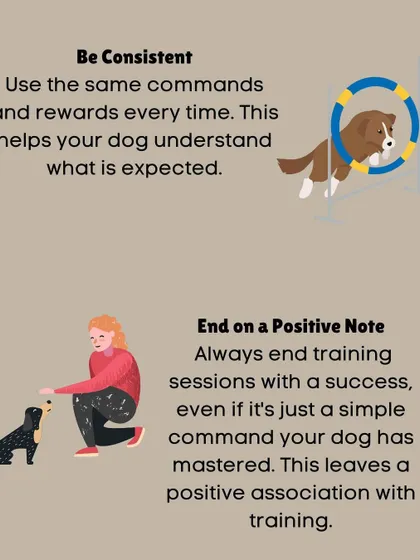 Consistency is everything in dog training. We teach you how to use the same commands and rewards every time and always end sessions on a positive note to build a happy association with learning.