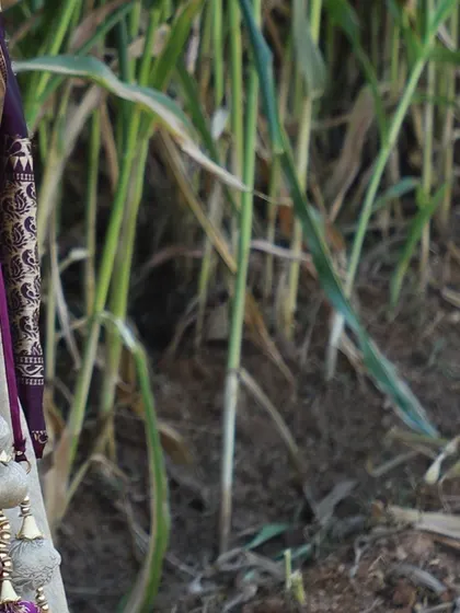 A close-up of the decorative tassels (latkans) on the half saree, which add a traditional and playful touch to the outfit.