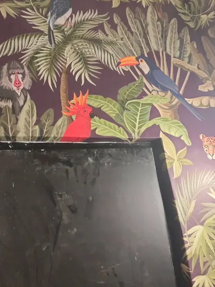 A close-up of the jungle wallpaper above a door.