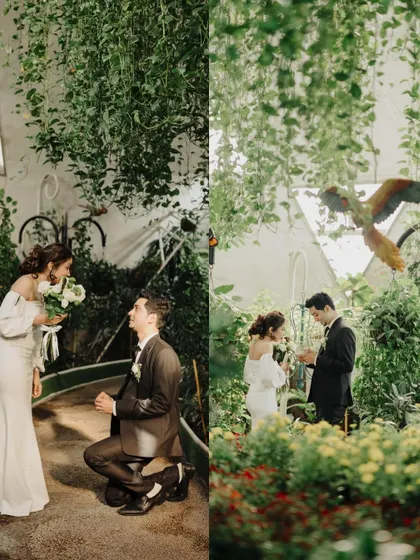 The proposal moment during Charlene and Dexter's elopement session. This diptych captures him on one knee and the subsequent ring exchange, surrounded by the lush greenery of the garden.