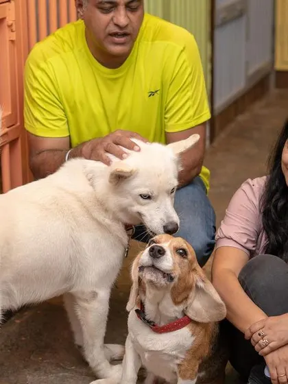 A quiet moment with a Beagle and a Spitz mix. We love spending time with our guests, making them feel like part of our family.