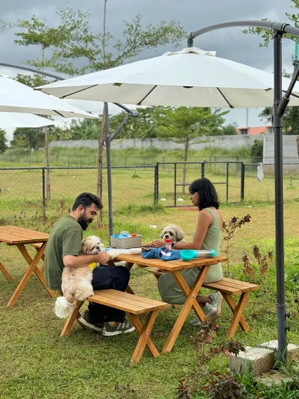 A couple enjoying a picnic under the shade of our large umbrellas, with their two adorable shih tzus right there with them.