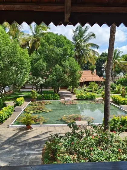 A view of our garden and pond from a veranda on a sunny winter day. The clear sky and warm sun create a perfect setting for relaxation.