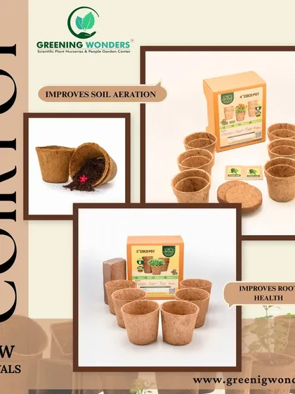 A closer look at our coir pots, which are designed to improve soil aeration and root health. These eco-friendly containers are an excellent alternative to plastic, helping you grow strong plants from the start.