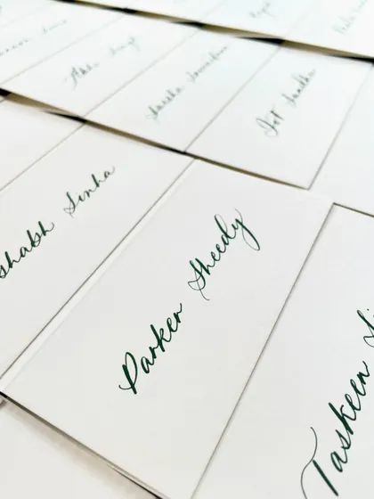 Keeping it real simple. These place tags are written in my signature modern calligraphy style, perfect for a sit-down dinner or event.
