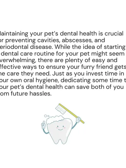 Investing time in your pet's dental health can save you both from future hassles. A simple routine can prevent serious issues like cavities, abscesses, and periodontal disease.