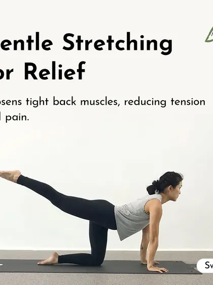 Gentle stretching, like this Bird-Dog Pose, is a safe and effective way to loosen tight back muscles, reducing overall tension and pain.