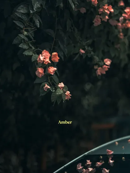 A before-and-after example showing the 'Amber' preset applied to a floral image, adding warmth and depth.