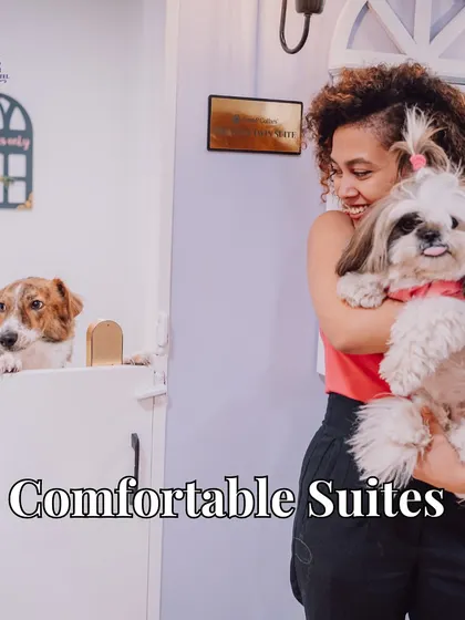 Our comfortable suites are designed to feel like a cozy bedroom, not a kennel. Here, guests enjoy the safety and comfort of their private space.