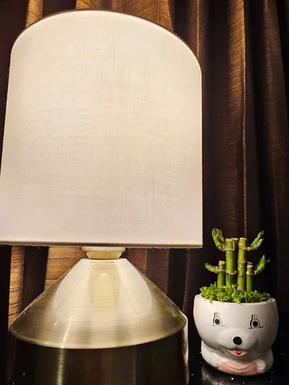 This small, quirky pot is designed to look like a cute animal face. It's a playful addition to any room and is shown here holding a small plant, perfect for a bedside table or a child's room.