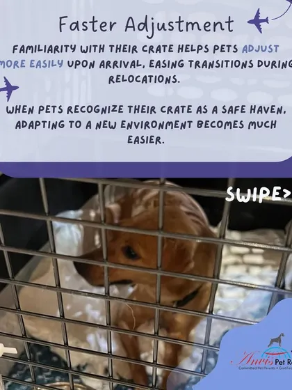 A pet who sees their crate as a safe haven will adjust much more easily to a new environment upon arrival. This familiarity helps ease the transition during relocations.