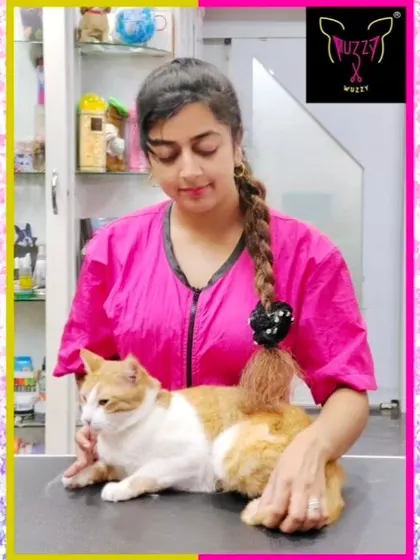 Cozying up with Billu the cat. Building a trusting relationship is the first step to a successful and stress-free grooming session.