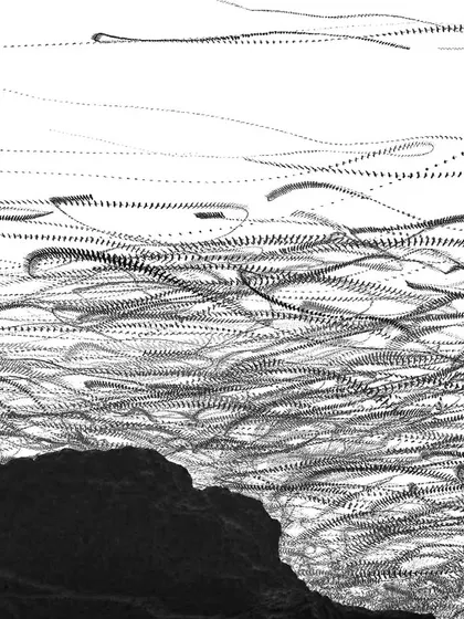 Using a technique called ornithography, we traced the flight patterns of hundreds of black kites over the Bandhwari landfill. This artistic image tells a somber story about how wildlife adapts to our changing urban landscape.