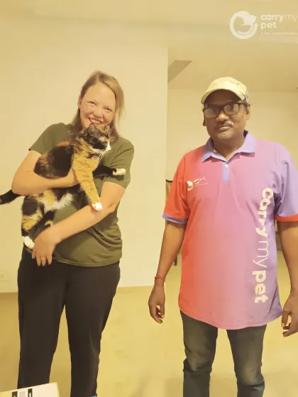 From London’s chilly skies to Mumbai’s warm embrace, Hobbes the cat is finally back in his parent’s arms. No distance is too far when love is waiting on the other side.