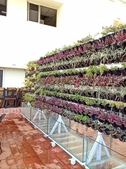 This is a large-scale living vertical garden I installed on a spacious terrace. The freestanding wall is filled with rows of purple and green foliage, creating a stunning natural divider and focal point.