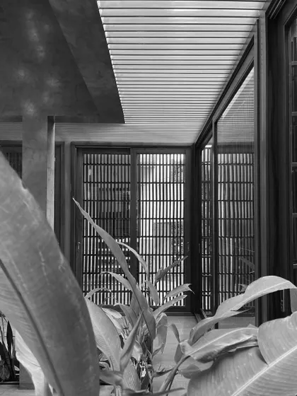 A black and white perspective of the courtyard, focusing on the strong architectural lines and the softness of the plants.