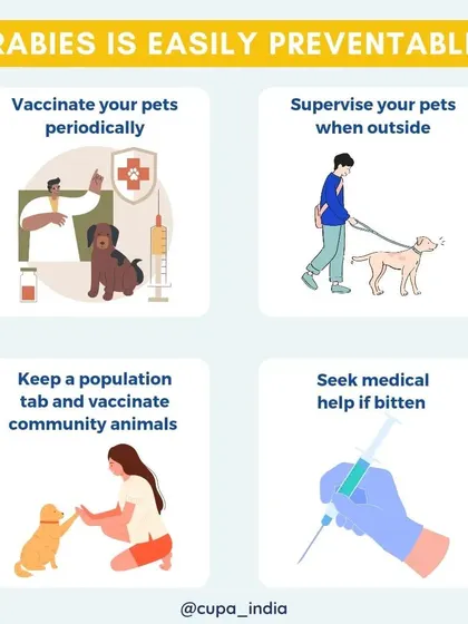 Rabies is a serious but preventable disease. I believe in empowering pet owners with knowledge, so we created this simple guide on how to protect your pets and your community through vaccination, supervision, and responsible action.