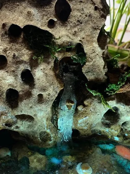 A close-up detail of the miniature waterfall I crafted from resin. I added bits of moss to the rock to give it an aged, natural look, making the water feature a central point of this tiny ecosystem.