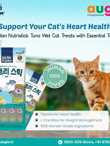 Taurine is so important for a cat's heart. These Nutriplan Nutristick treats are a great way to supplement their diet with essential taurine, plus L-Carnitine for weight management, all in a 100% human-grade snack.