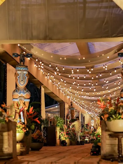 A duplicate of image 219, showing the magical, illuminated entrance at night.