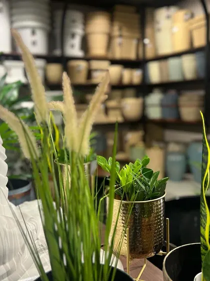 A close-up shot creating a tranquil mood in our store. A fibre Buddha statue is seen next to artificial grass and a snake plant, showcasing how we mix decor elements with greenery.