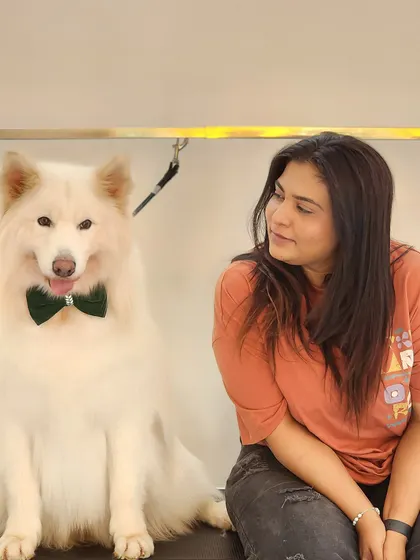A quiet moment with a handsome husky after his groom. Look at that calm expression and smart bow tie. He knows he looks good.