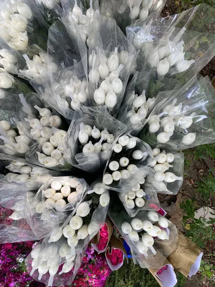 Bunches of fresh tuberose (rajnigandha) buds, ready to be used in garlands and arrangements, filling the air with their beautiful fragrance.