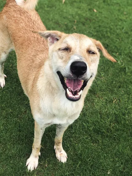 The happiest, sun-drenched smile from one of our indie guests. This is the result of a day filled with fun, freedom, and friends.