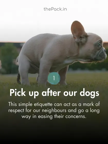 Responsible apartment living starts with simple things. Picking up after our dogs is a mark of respect for our neighbors and community spaces.