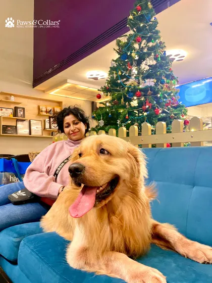 Festive cuddles by the Christmas tree. This happy Golden Retriever and his parent soak in the holiday cheer at our café.