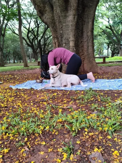 Another furry friend enjoying the calm vibes of our sound healing practice. Animals are so receptive to peaceful energy, and their presence always adds to the magic.