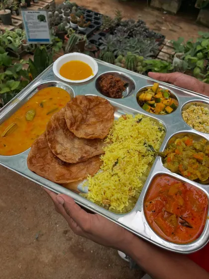 A glimpse of the delicious, authentic meal served at our Mango Festival. I believe in offering a complete sensory experience, where the food is as memorable as the surroundings.