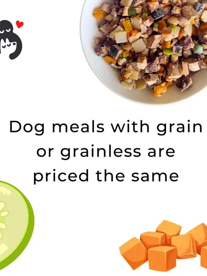 We offer both grain-inclusive and grain-free meals at the same price, because you should be able to choose what's best for your dog without worrying about cost.