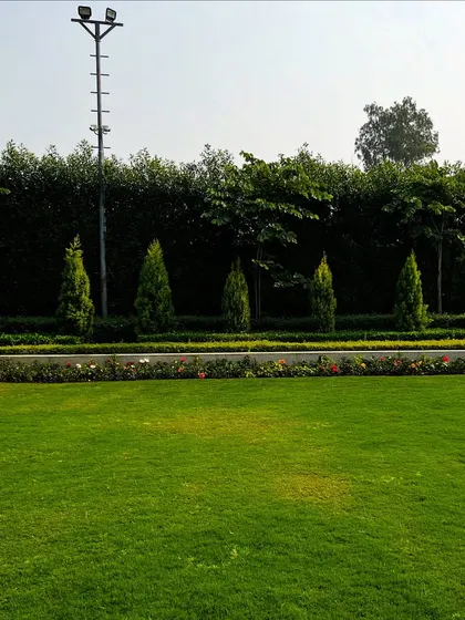 The expansive lawn is bordered by a formal planting of conical evergreen trees and a flower bed, creating a classic and stately garden aesthetic.