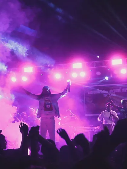 A wide shot of me on stage, enveloped in purple light and smoke, with my arms raised to the cheering crowd.