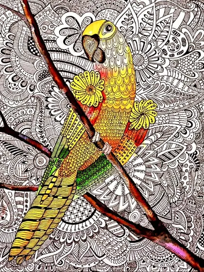 The level of detail and patience in this zentangle parrot, created by a 12-year-old student, is just incredible. My advanced classes help teens refine their skills and tackle complex designs.