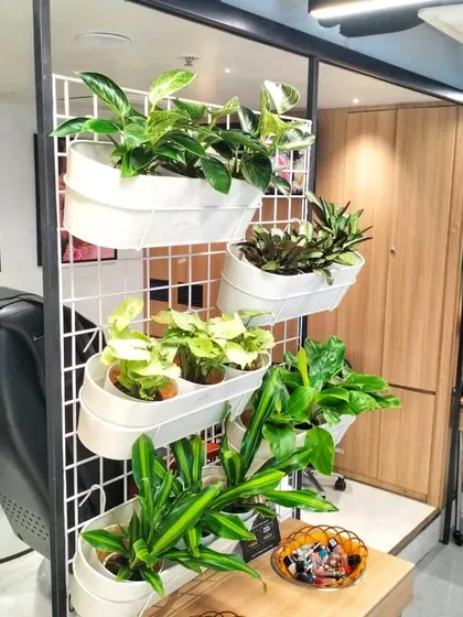 This vertical planter setup is a great way to add a lot of greenery in a small footprint. I used a mix of plants with different leaf shapes and shades of green to create a dynamic and interesting display next to a styling station.