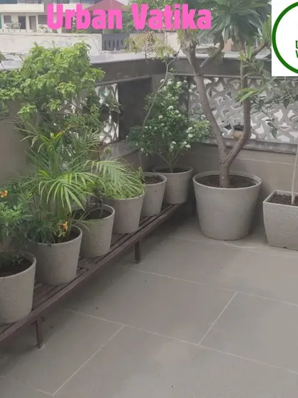 A simple and elegant terrace setup with a row of potted plants on a stand, perfect for smaller spaces.
