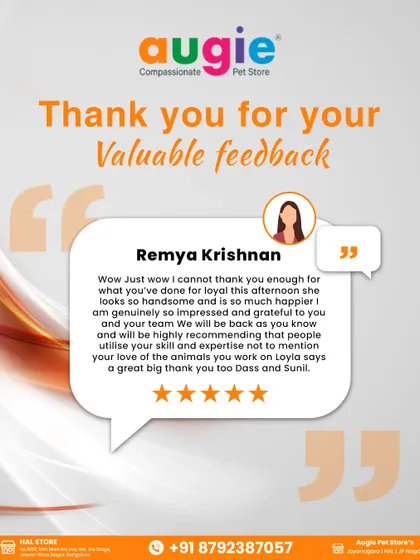 Wow, thank you, Remya, for this incredible feedback! We are so happy that you and Loyal were impressed with his handsome new look. We're grateful for your recommendation and look forward to seeing you again.