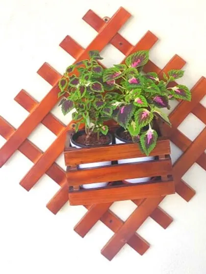 This decorative wooden lattice provides a beautiful and rustic frame for holding a potted plant. It's a simple piece that adds a lot of character to a plain wall.