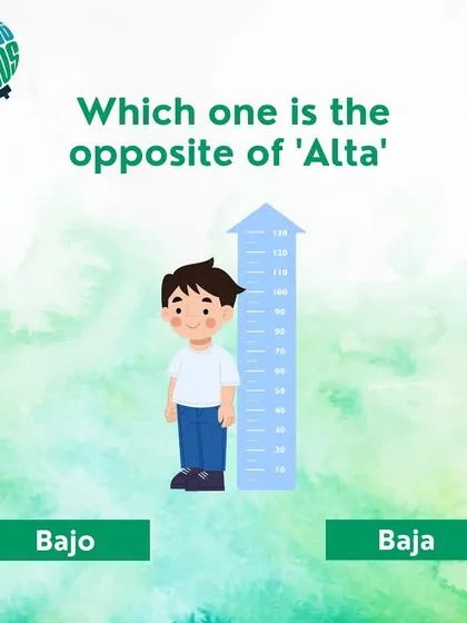 What is the opposite of 'alta' (tall) in Spanish? Is it 'bajo' or 'baja'? This quiz helps with adjective agreement.