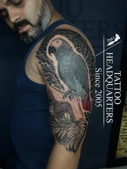 A full sleeve tattoo of an African Grey Parrot. The detailed feather work and shading, with a pop of red on the tail, make this piece stand out.