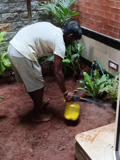 We use a weed killer spray where necessary to ensure a clean base before adding new soil and plants, preventing old weeds from growing back.