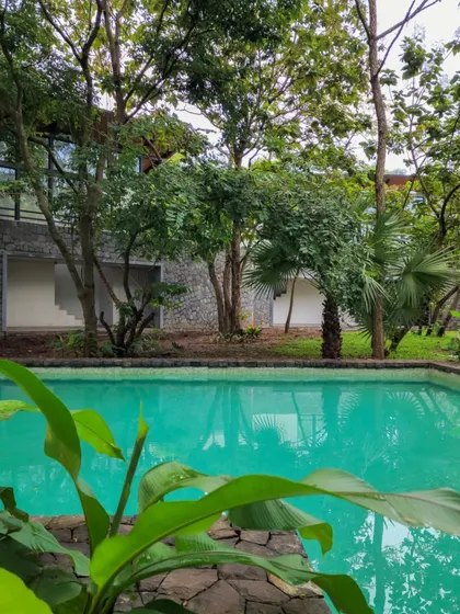 The Villa in the Grove is rooted to its site, with stone walls and bedrooms that feel suspended in the tree canopies. We understand nature as the mother, the spirit of this place.