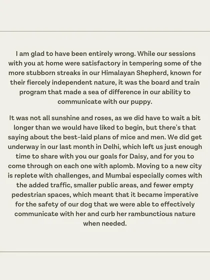 Daisy's guardian admits he was wrong to be skeptical and that our board and train program made a sea of difference.