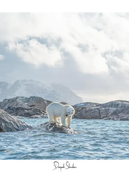 A personal and powerful image from my journey to the top of the world.